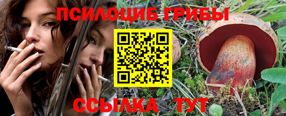 закладки  Псилоцибиновые грибы прущие грибы  Вход с VPN  Назрань 